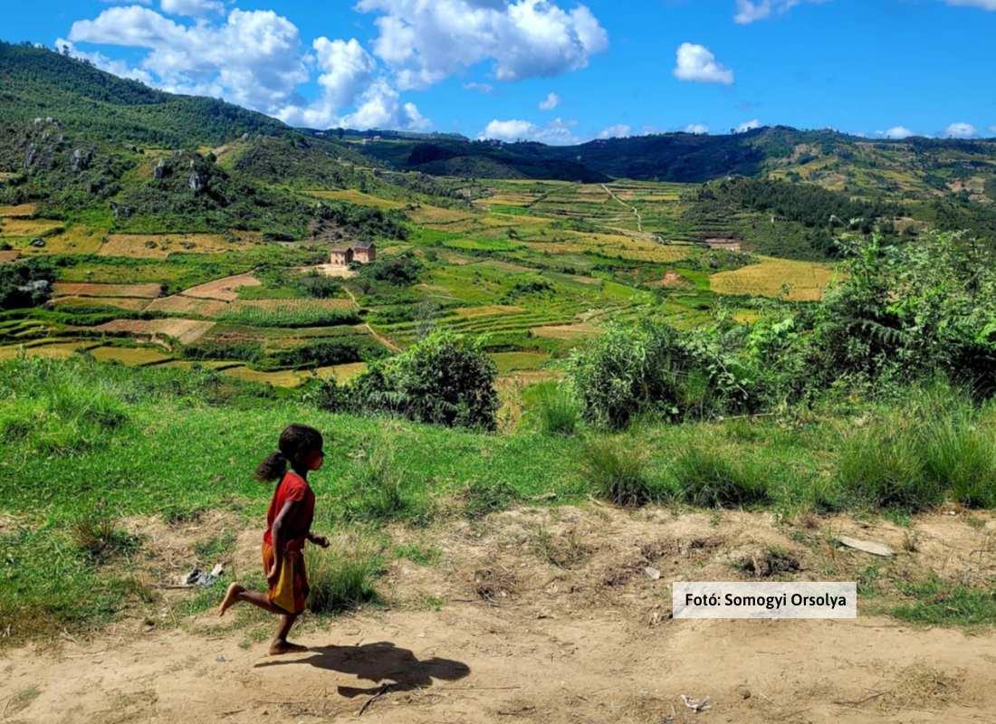 Madagaszkár, életkép