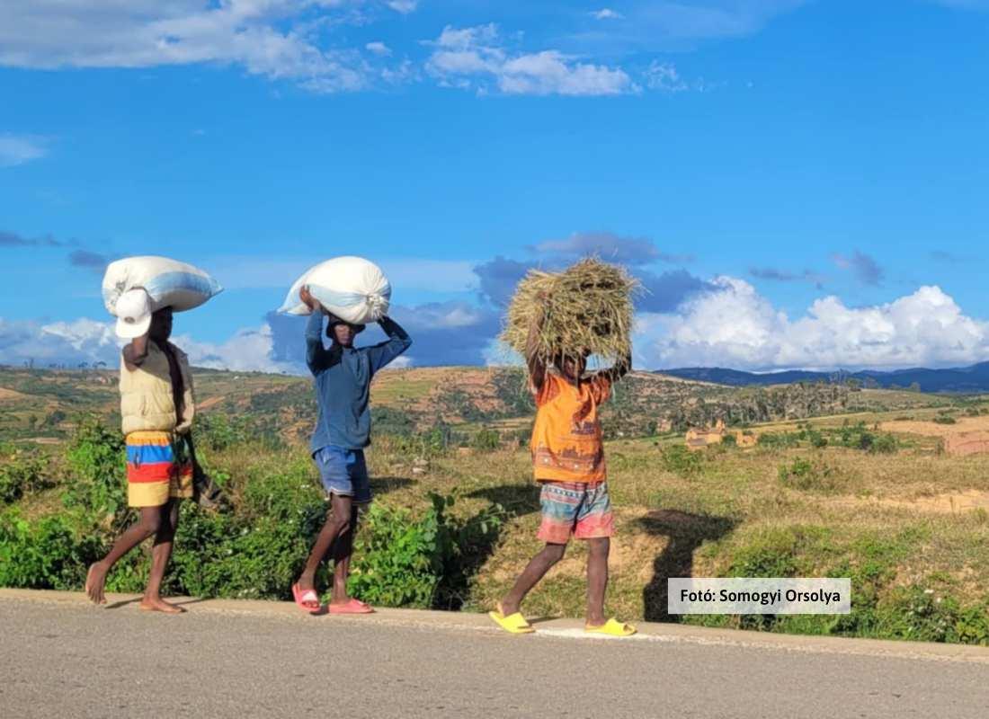 Madagaszkár, életkép
