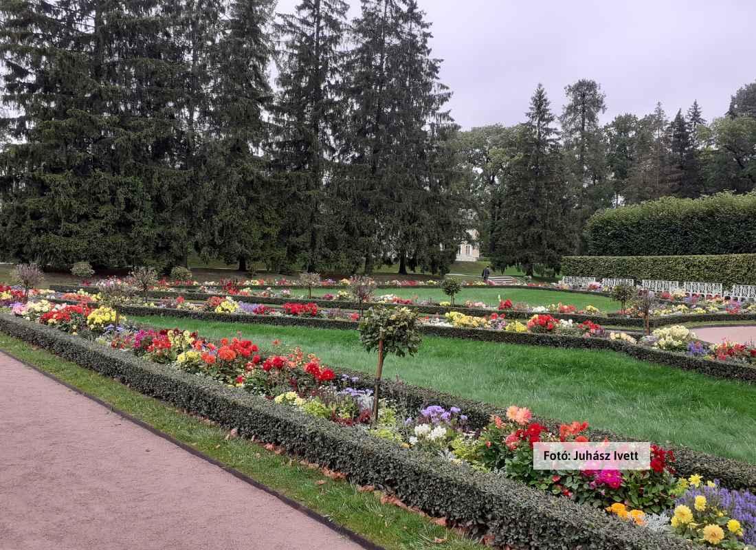 Szentpétervár, Katalin-palota Szentpétervár, Katalin-palota