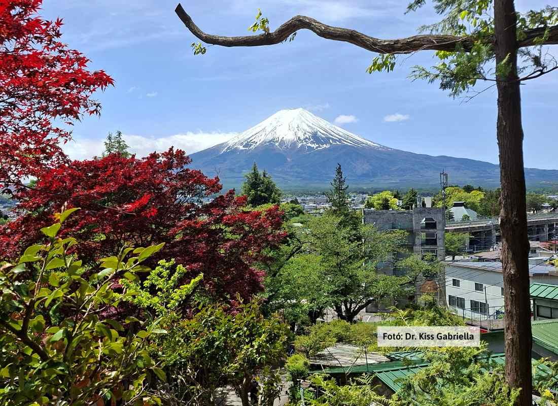 Japán, Fuji