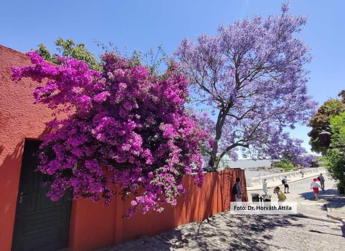 Uruguay, Colonia de Sacramento