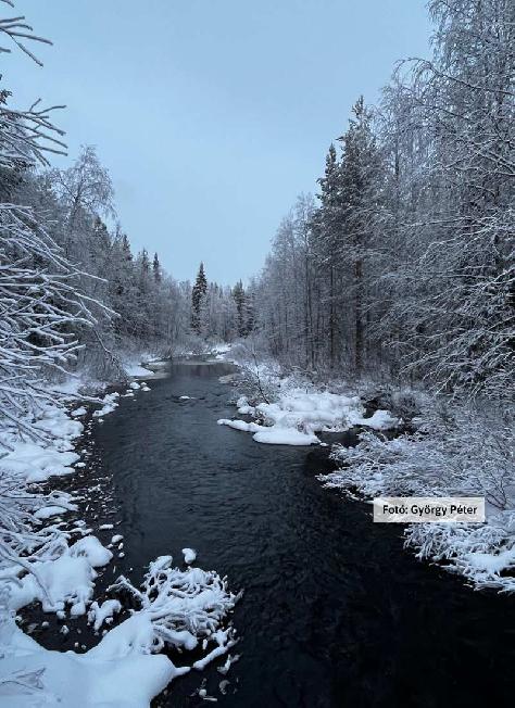 Finnország, Lappföld, tájkép