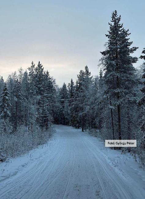 Finnország, Lappföld, tájkép