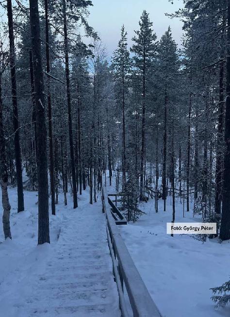 Finnország, Lappföld, tájkép