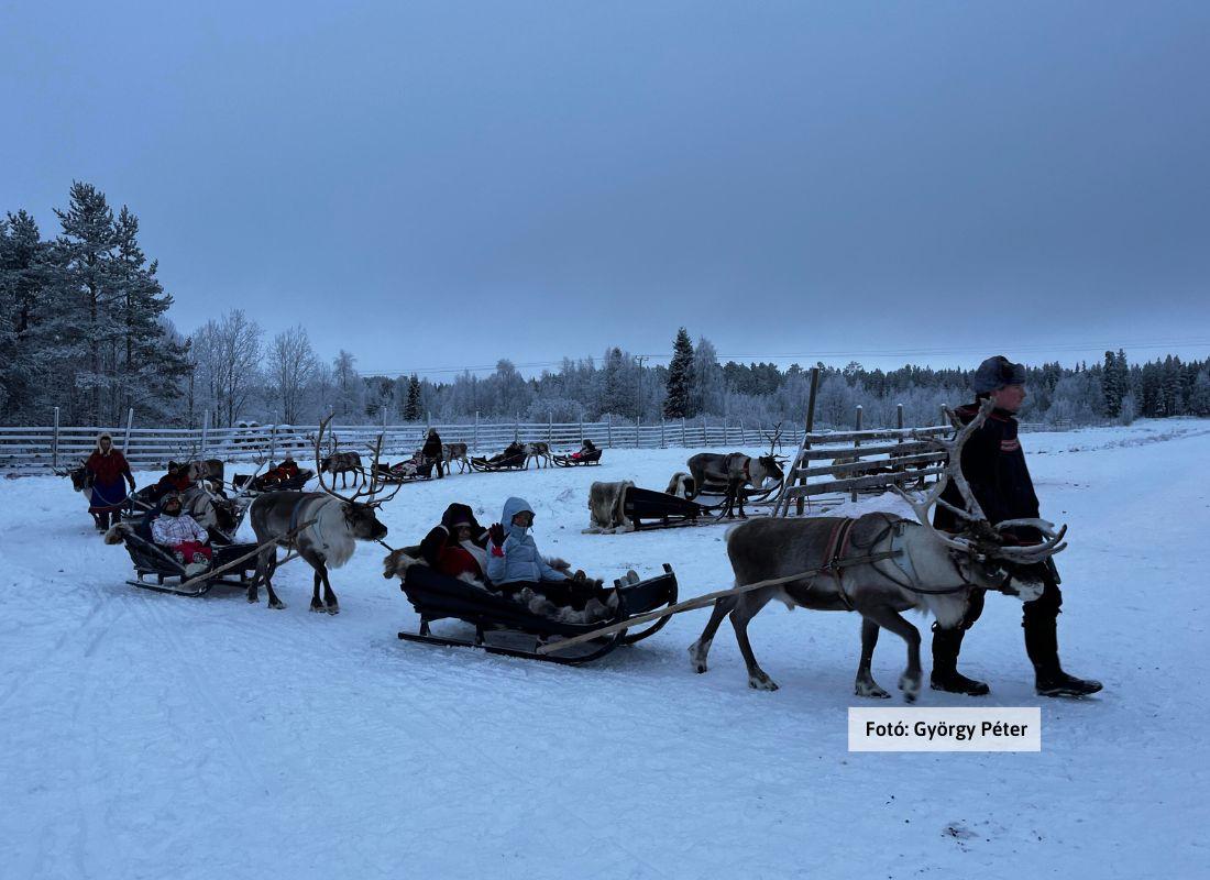Finnország, Lappföld, rénszarvas farm