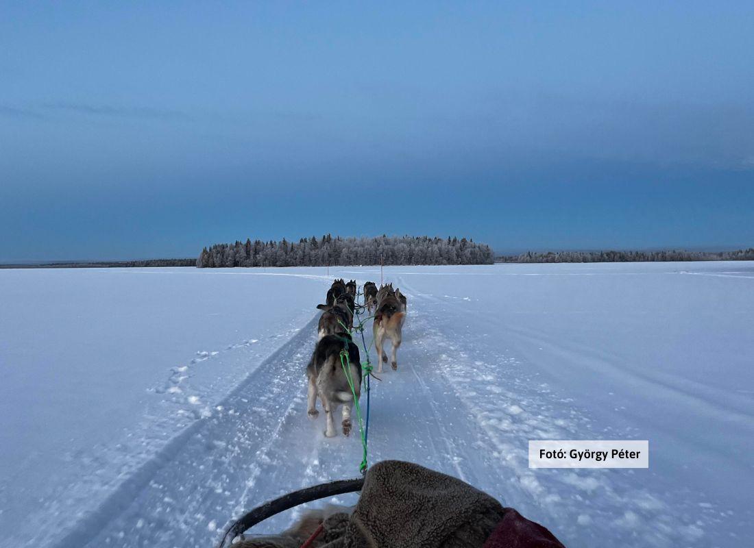 Finnország, Lappföld, husky farm