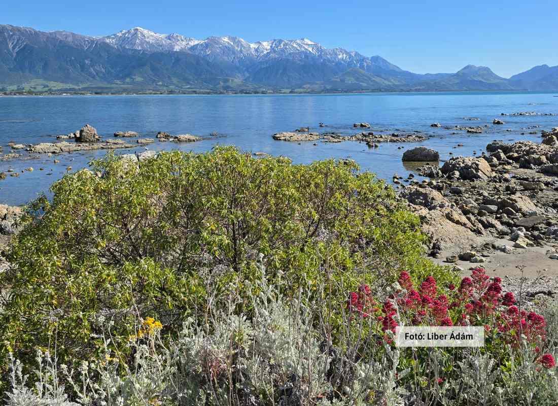 Új-Zéland, Kaikoura-kanyon