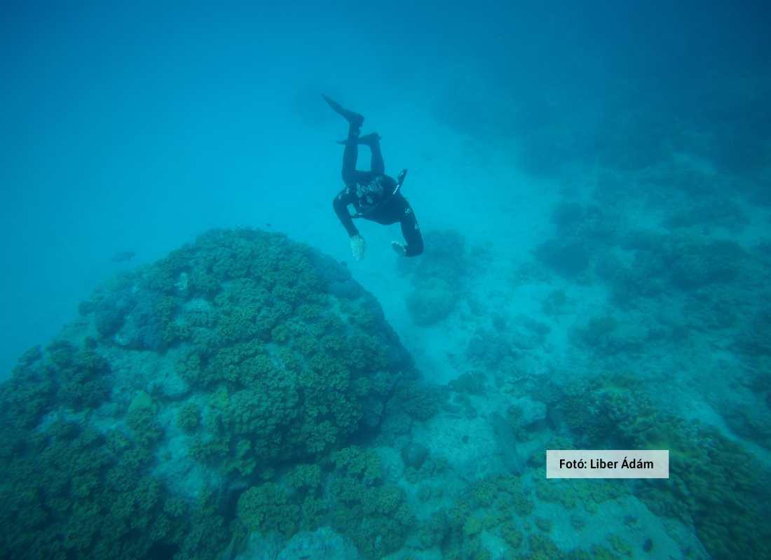 Ausztrália, Nagy-korallzátony