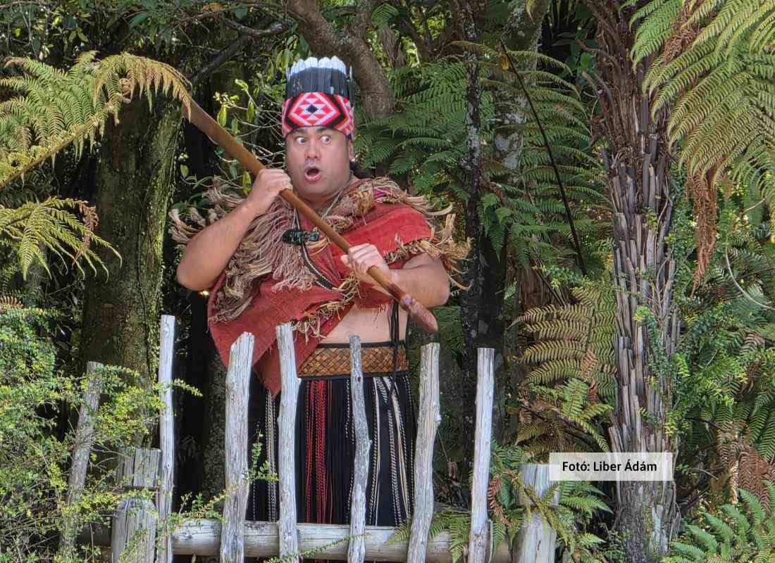 Új-Zéland, maori előadás
