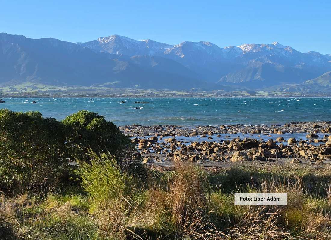 Új-Zéland, Kaikoura-kanyon