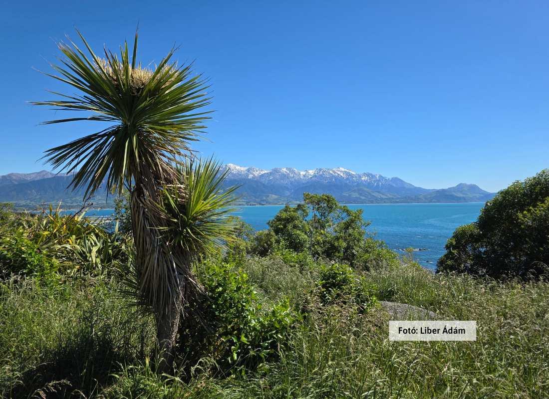 Új-Zéland, Kaikoura-kanyon