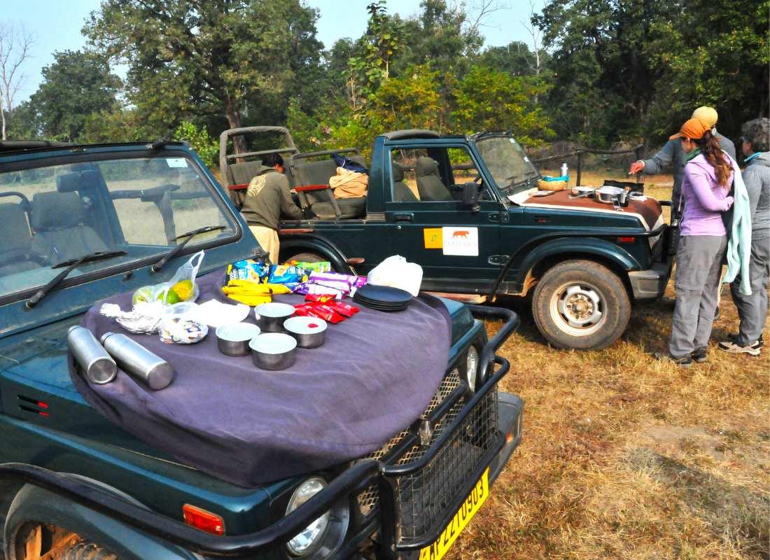 India előadás - Tigris és nagyvad szafari program