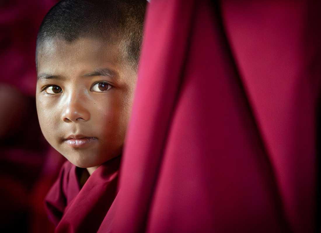 Emberek a Himalájában - Ladakh/Kis-Tibet