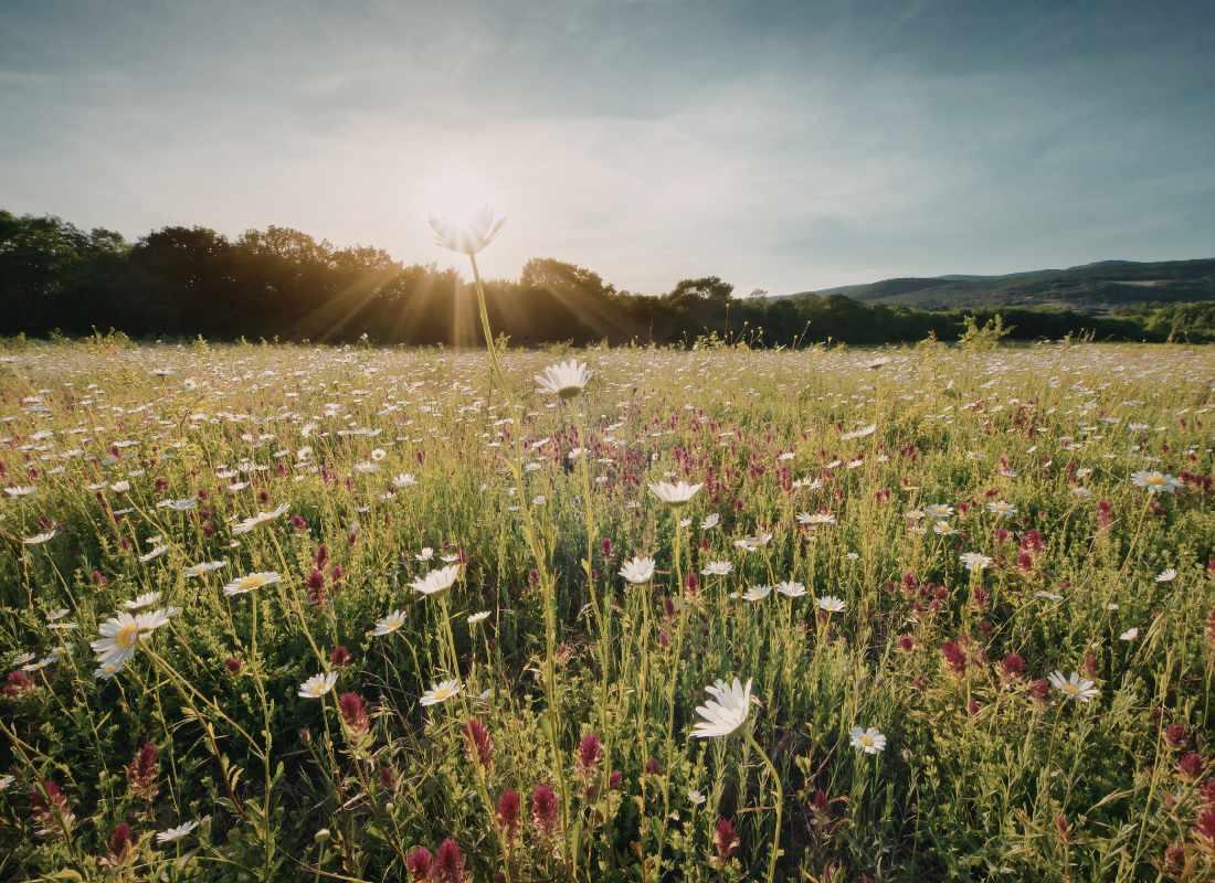 Magyarország tájkép