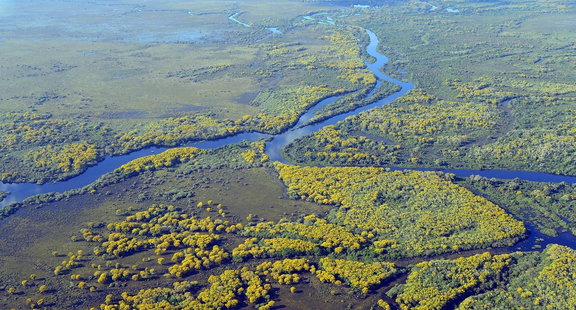 Brazília vadvilága - Pantanal