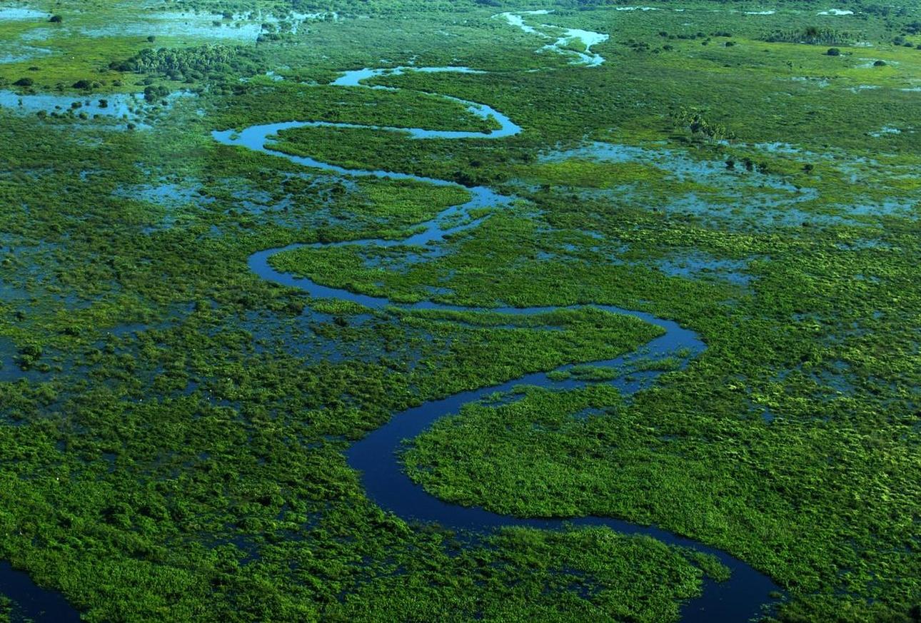Brazília vadvilága - Pantanal