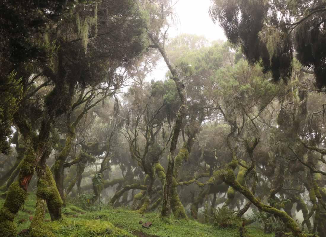 Etiópia - Afrika ezer arca előadás - Fotó: Dr. Mari László