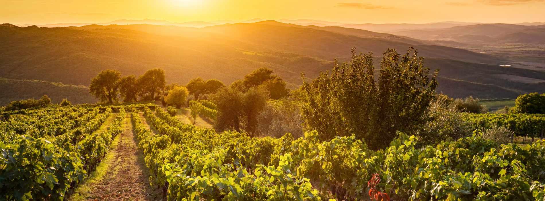 Ciao Italia - Utazás az olasz gasztronómi körül