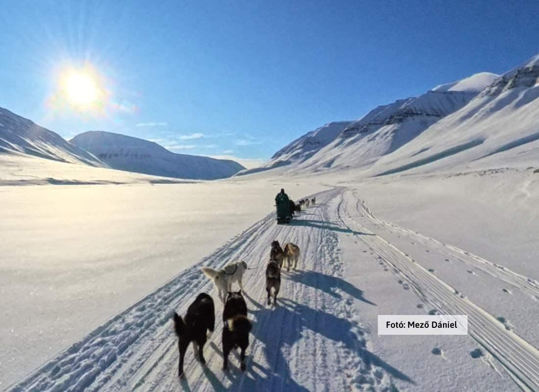 Spitzbergák, kutyaszán