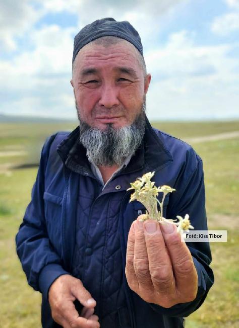 Mongólia, mongol férfi