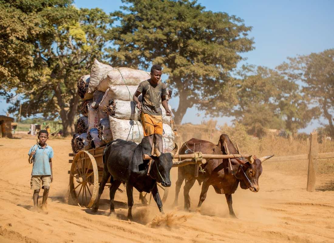Madagaszkár – a nyolcadik kontinens útbemutató