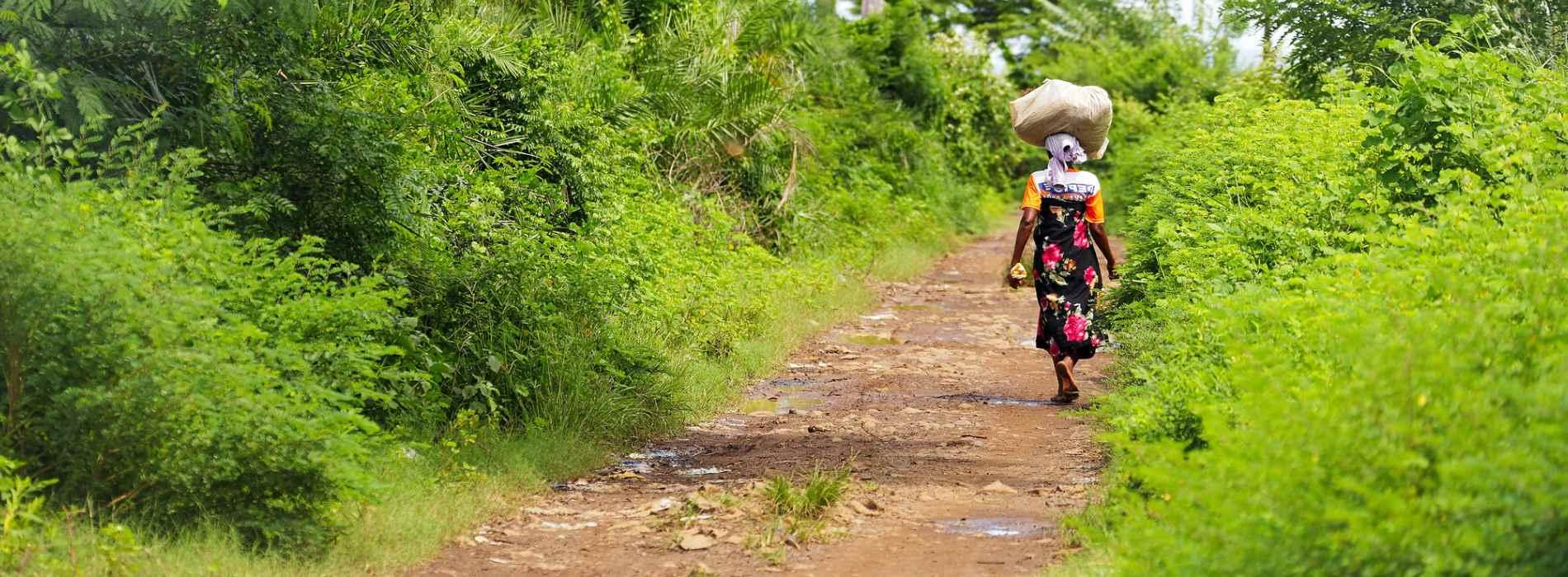 Madagaszkár – a nyolcadik kontinens útbemutató