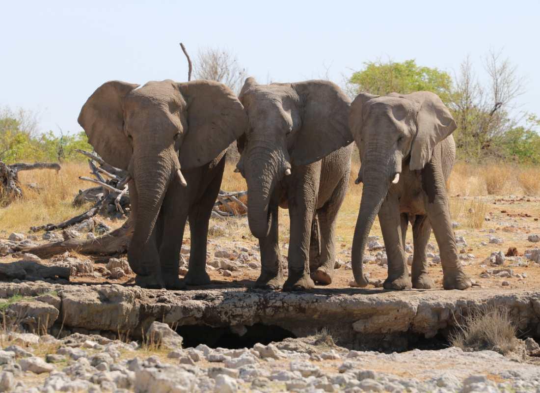 Namíbia - Képes élménybeszámoló