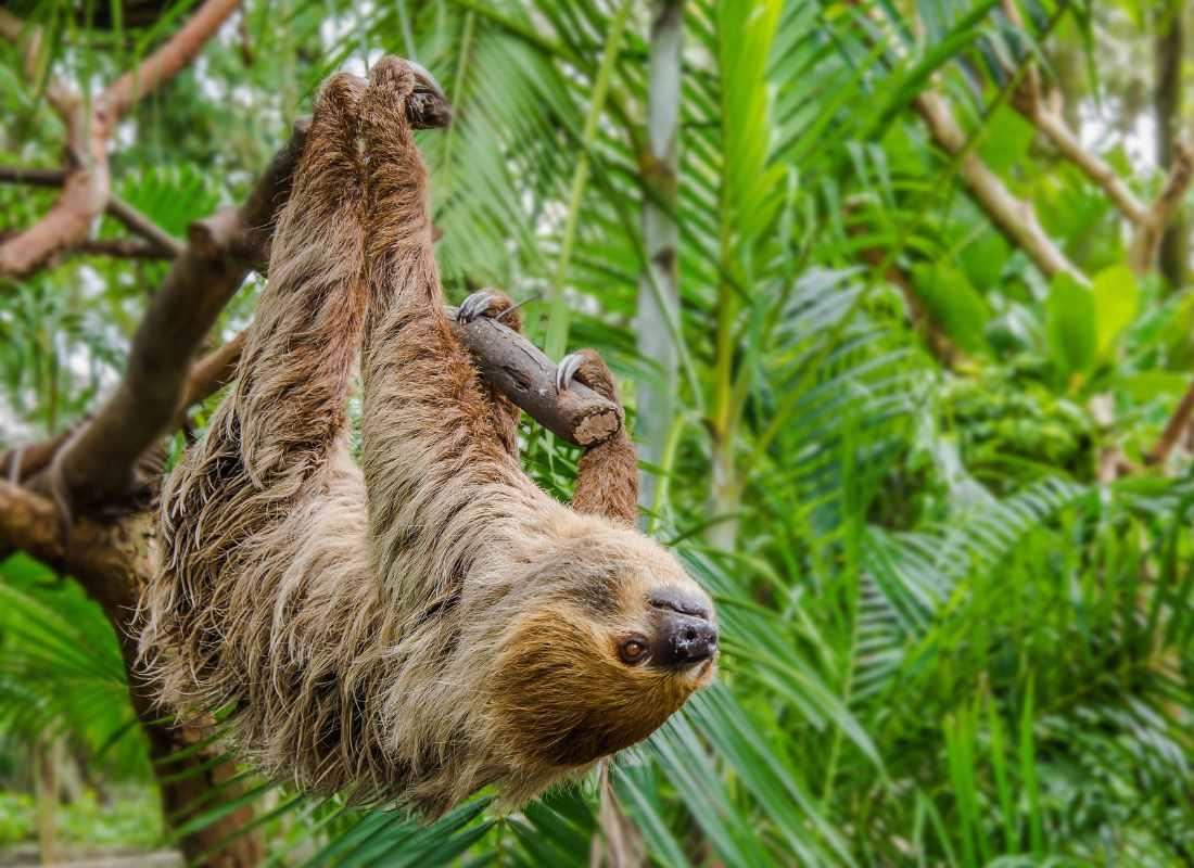 Panama - Costa Rica körutazás fotó