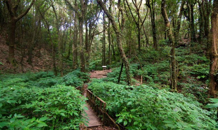 Thaiföld, Doi Inthanon Nemzeti Park