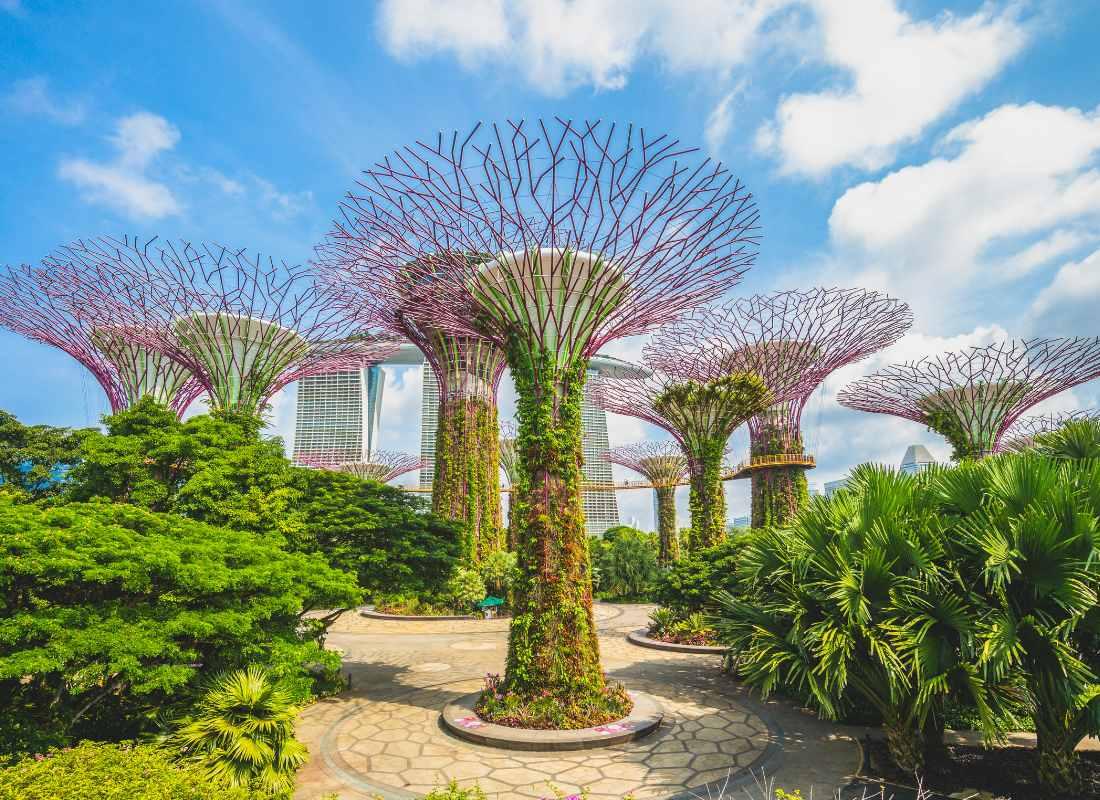 Szingapúr - Gardens by the Bay
