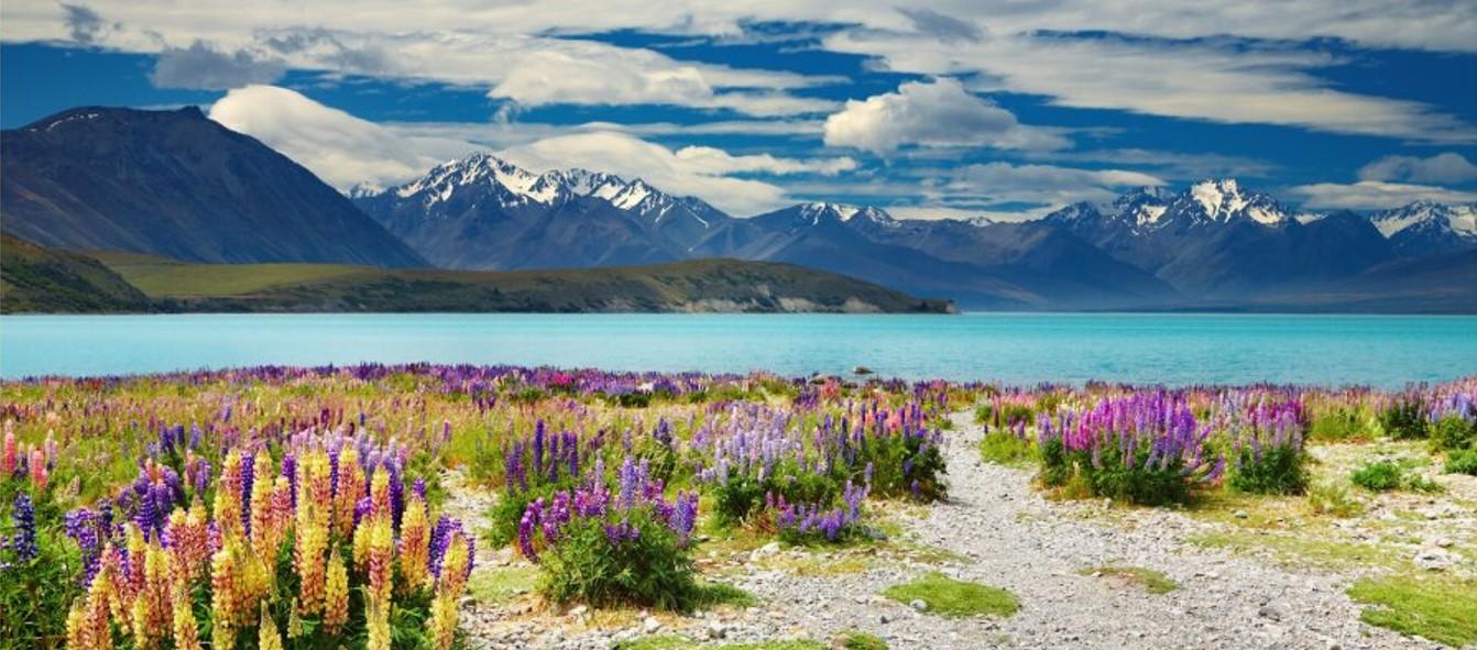 Új-Zéland, Tekapo-tó