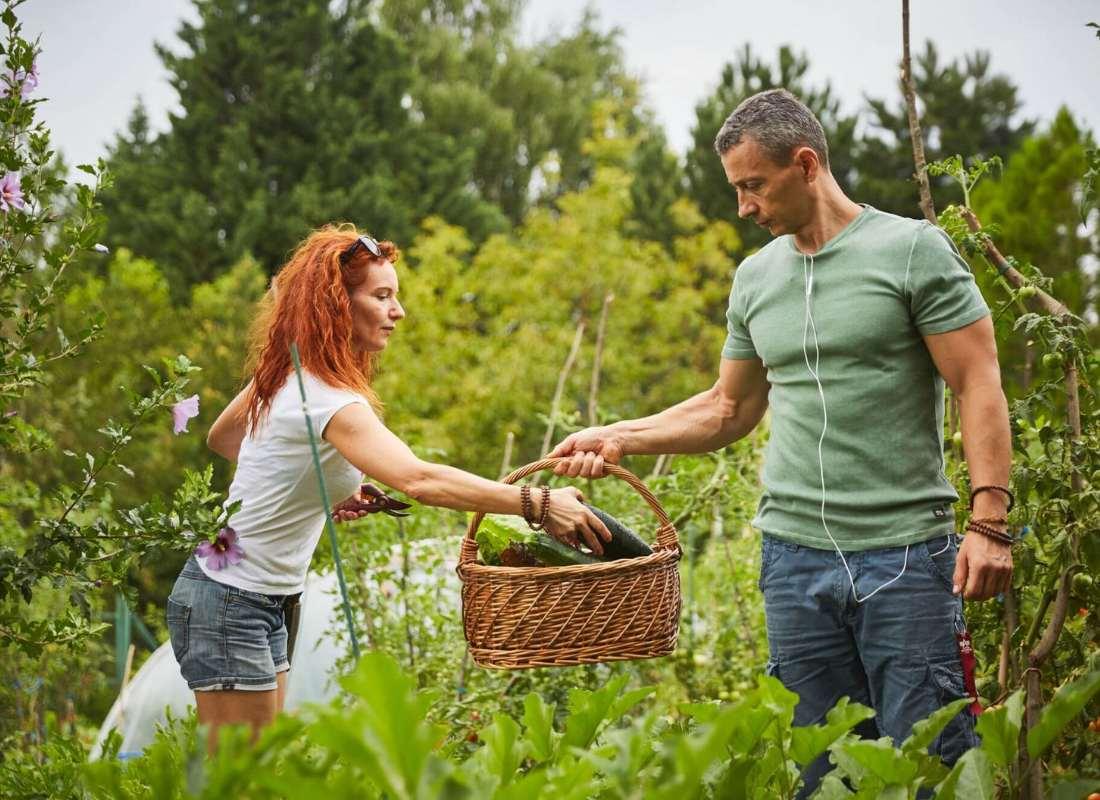Farm-to-table tematikus vacsora a Séf és a Kertész világában