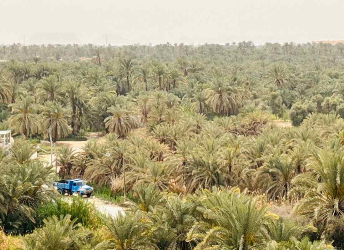 Egyiptom, Siwa-oázis, tájkép