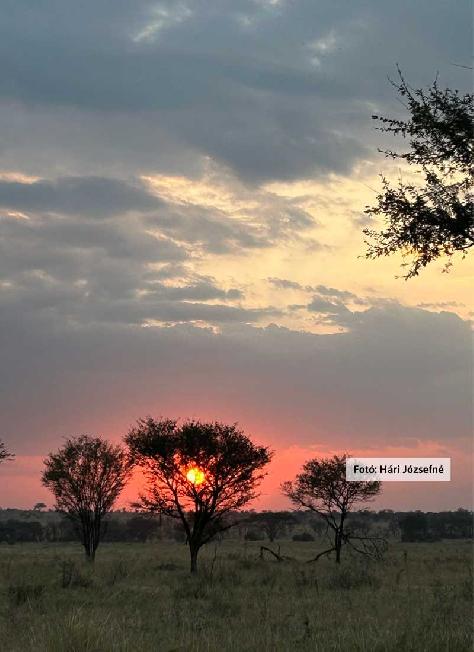 Tanzánia, naplemente a Serengeti Nemzeti Parkban