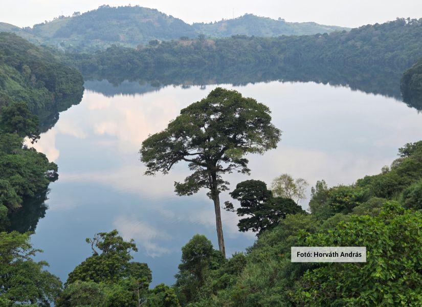 Uganda varázsa - Csimpánzok és hegyi gorillák világa