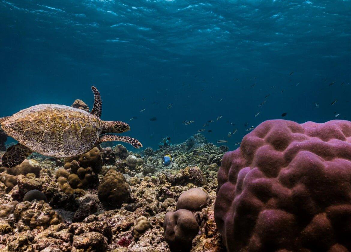 Maldív-szigetek, Sun Siyam Olhuveli