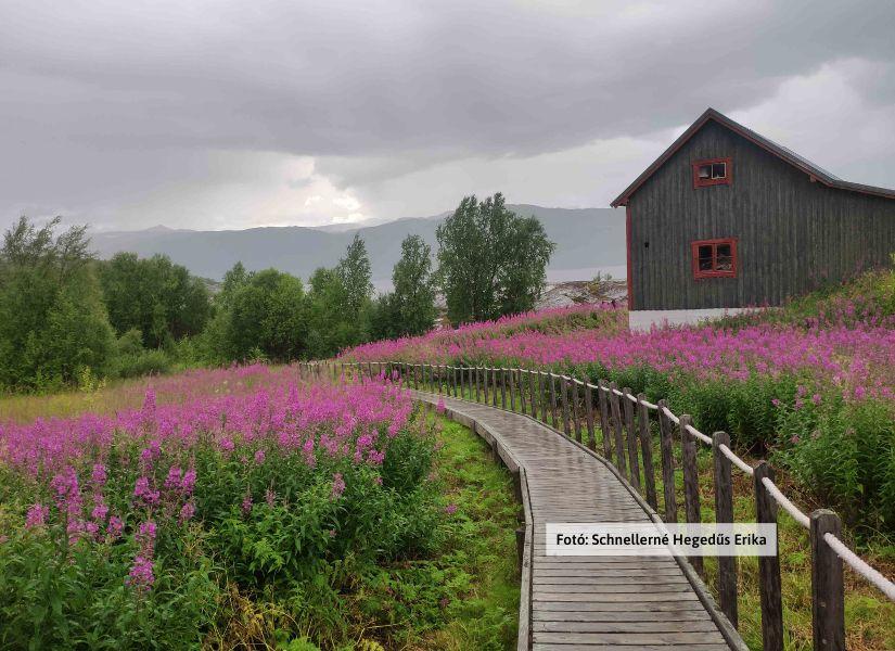 Norvégia, Nordkapp - Alta sziklarajzok felé
