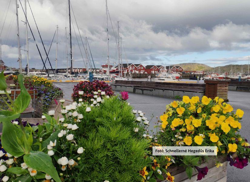 Norvégia, Nordkapp - Bodo pillanatkep