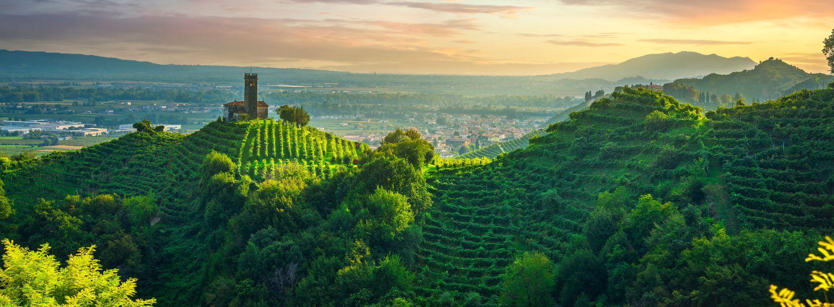 Olaszország, Prosecco borvidék