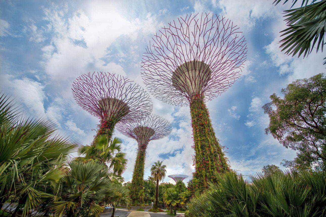 Szingapúr - Gardens by the Bay